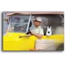 Tintin - Statuette Moulinsart 44502 - Ford T jaune 1/12 - Tintin au Congo - (2020)
