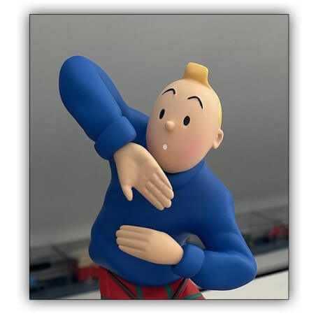 Tintin / L'île noire / Gorille Ranko & Tintin / Grande Figurine BD