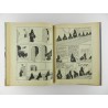 Tintin Les cigares du Pharaon. A18 de 1942