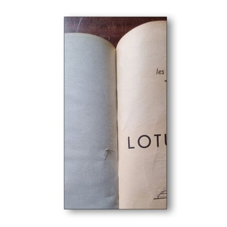 Tintin / Le lotus bleu / 1939 / Dos A9