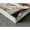  Murena T.02 tot T.04 / 3x C / 3 albums / EO / Delaby / 1999/2002