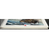 Surface T.01 / The Birth of a Legend + Dedication / C / 1 Album / Limited edition / 2016 / EO