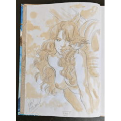  Les Aventuriers de la Mer T.01 tot T.03 + Wijding - 3x C - 3 Album - EO - 2013/2016