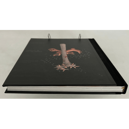 Trolls of Troy / Integrale / Mourier / Kleur-ondertekening / C + insteek - 1 Album - Beperkte editie - 2002