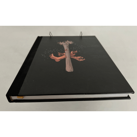 Trolls of Troy / Integrale / Mourier / Kleur-ondertekening / C + insteek - 1 Album - Beperkte editie - 2002