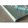 Les Ailes du Phaeton T.01 / Le Ventre de Kashoum / Dedication couleur Fino / C / 1 Album / EO - 1997