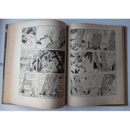 Kuifje Dl. 6 / Hergé / Het gebroken oor (A18, grote afbeelding) - C - Zwart-wit - Heruitgave (1942)