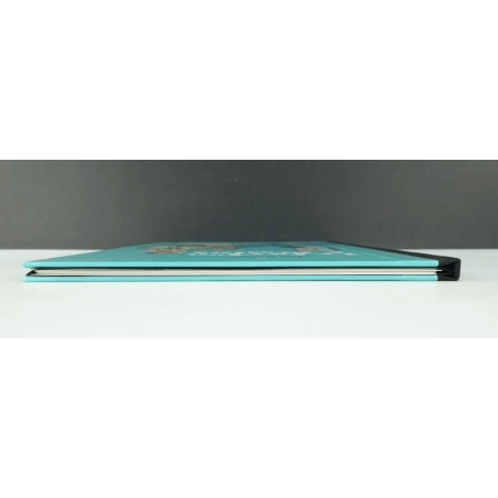 Portfolio Drawing board (100 ex.N°S) / Meynet F. / 2007
