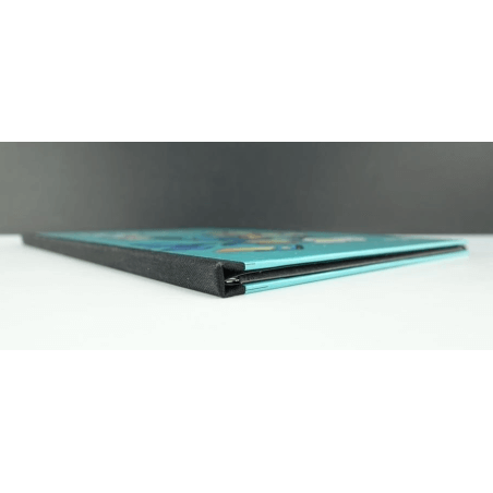 Portfolio Drawing board (100 ex.N°S) / Meynet F. / 2007