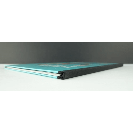 Portfolio Drawing board (100 ex.N°S) / Meynet F. / 2007