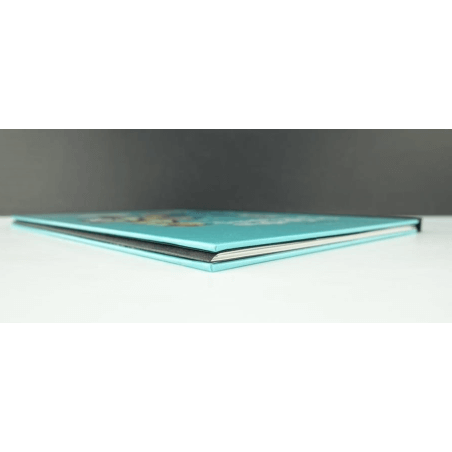 Portfolio Drawing board (100 ex.N°S) / Meynet F. / 2007