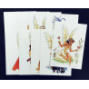 Portfolio Ailes & Belles T.01 / Meynet F. / 2009