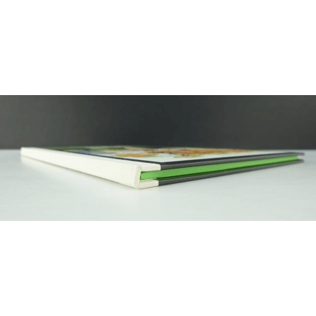 Portfolio Ailes & Belles T.01 / Meynet F. / 2009