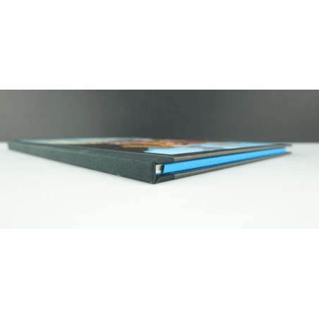 Portfolio Ailes & Belles 2 (199 ex. N°/S) / Meynet F. / 2011