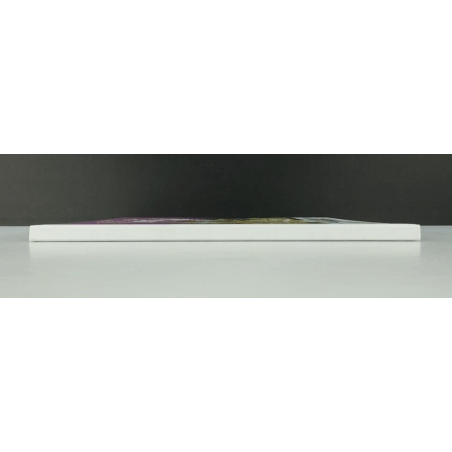 Portfolio Ailes en Belles 4 (199 ex N°/S) / Meynet F. / 2012
