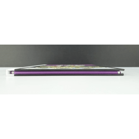 Portfolio Ailes en Belles 4 (199 ex N°/S) / Meynet F. / 2012