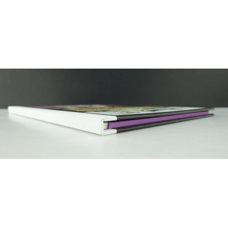 Portfolio Wings and Belles 4 (199 ex. N°/S) / Meynet F. / 2012