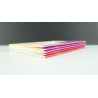 Trondheim-Reuno. Lot of 5 flights (2007-2009)